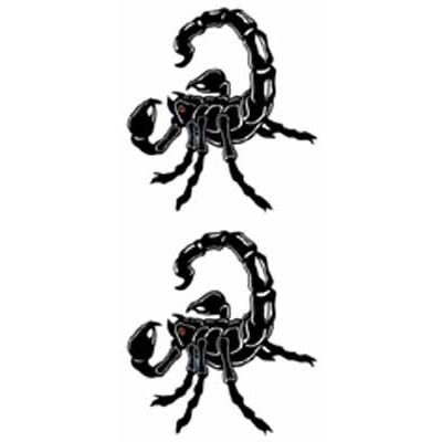 �^�g�D�[�V�[���@�T�\��