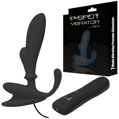 �o�|�r�o�n�s�o�C�u���[�^�[�@�i�u���b�N�j