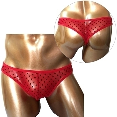 �a�����c���������@���C���h�r�L�j�p���c�i�v�|�O�P�V�j�@���ʃ��b�h