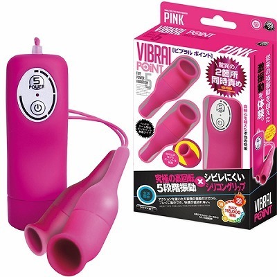 �r�u�����@�|�C���g�@�i�s���N�j