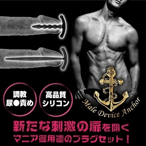 ���C���f�o�C�X�A���J�[�@�i�A�h�o���X�j