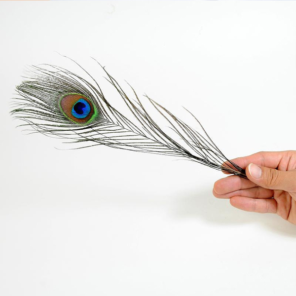 �����傱����@�i�k�j