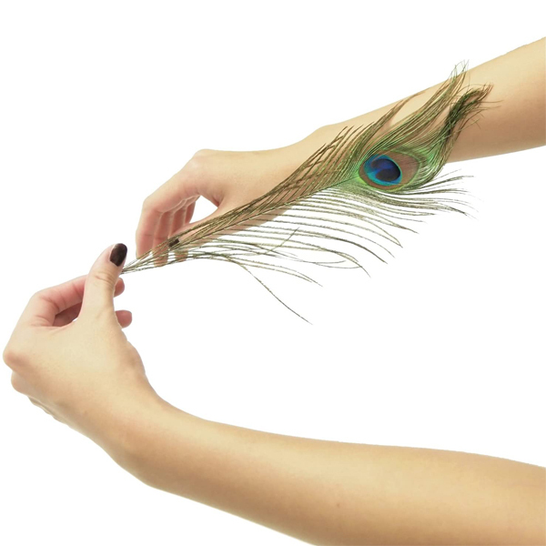 �����傱����@�i�k�j