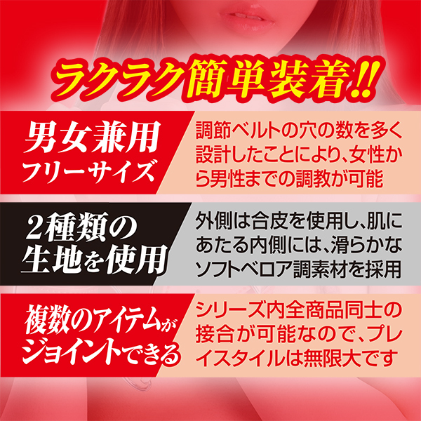 �r�l�������i�X�}�[�g�j�@�V�@��