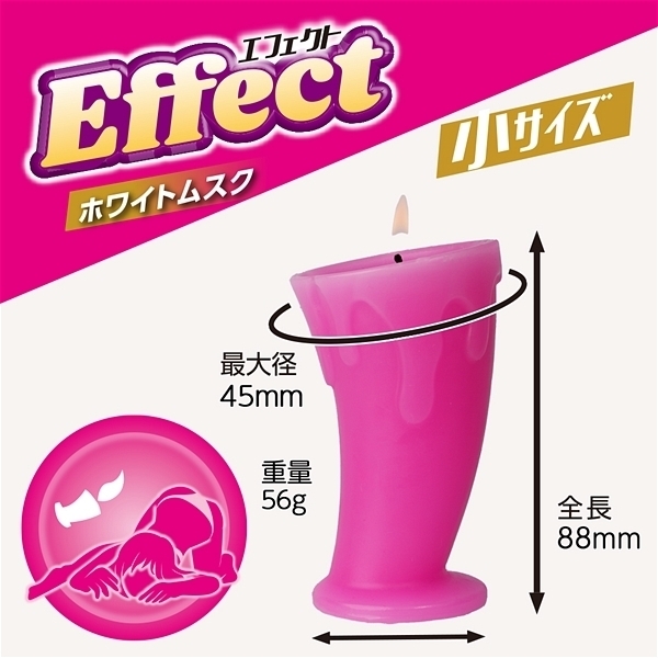 �d�����������i�G�t�F�N�g�j�@�z���C�g���X�N�@��