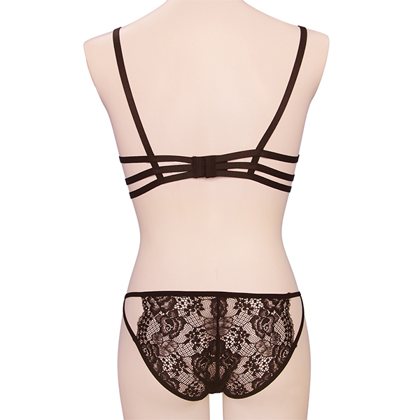 �������V���[�c���@�u���@���Ƃ��̖��p