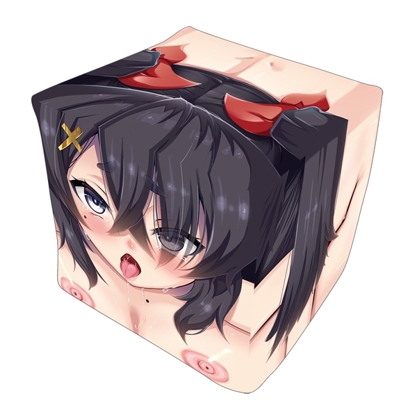 �����C���T�[�g�G�A�s���[�J�o�[���Q�@�����_�V���@�C���X�g�F�����V�m