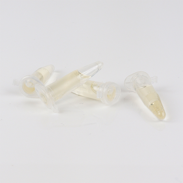 �G��A���r�@�i���C�L�j