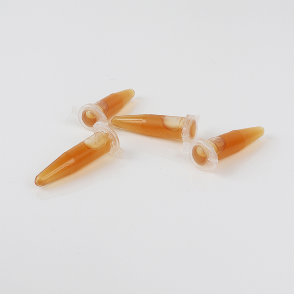 �������K�`�I�@�i�m���u���j