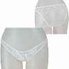 2Lサイズ レース&シースルー極薄フルバック ホワイト(ランジェリー)